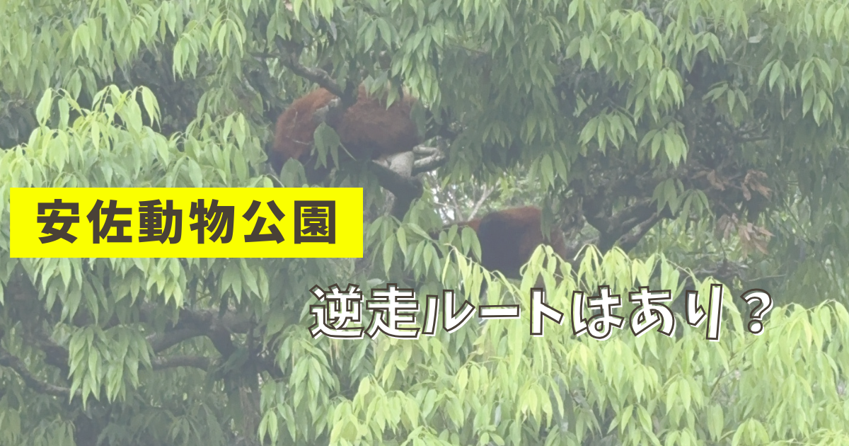 安佐動物公園逆走ルートあり？