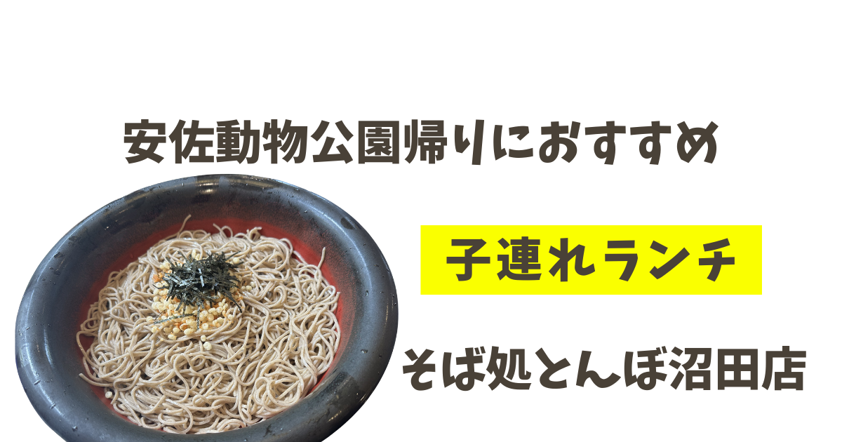 安佐動物公園帰りにおすすめ！子連れランチそば処とんぼ沼田店