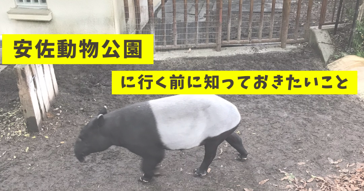 安佐動物公園に行く前に知っておきたいこと