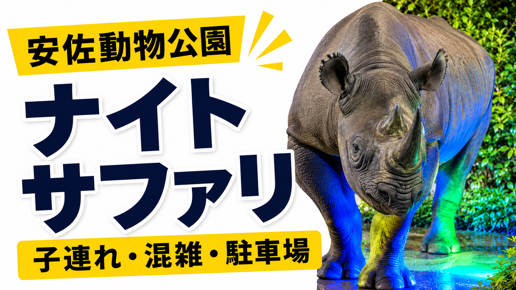 安佐動物公園ナイトサファリ子連れ・混雑・駐車場情報